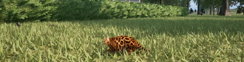 Chonky Cat GIF 5