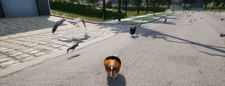 Chonky Cat GIF 6